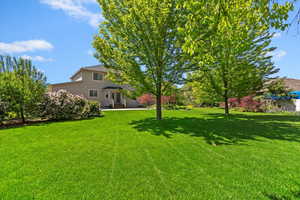 This is the view from standing at the back fence. Remember, it is a .48 acre lot!