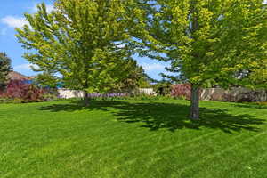 The lush backyard also has maple trees, irises, lupine, marigolds, hostas, and so much more that are actually very easy to keep.