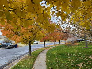What does that same walk feel like in the colors of fall?