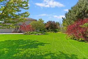 Open grassy area behind the house.
