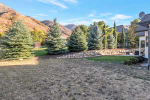 View of green lawn with a mountain view