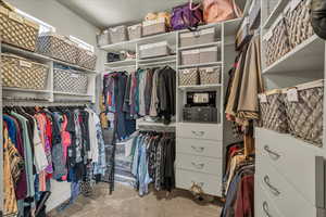 Spacious closet with carpet
