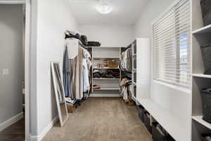Spacious closet featuring carpet flooring