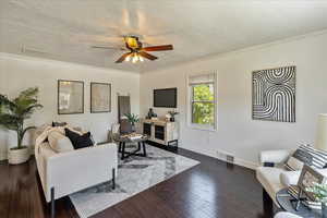 Living area with a textured ceiling, dark wood finished floors, ceiling fan, and crown molding