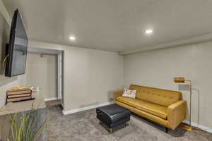 Living area with recessed lighting, carpet, baseboards, and a textured ceiling
