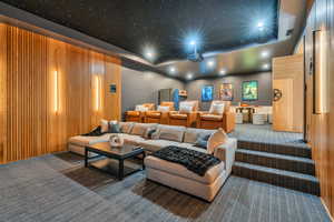 Home theater with carpet flooring, a tray ceiling, and recessed lighting