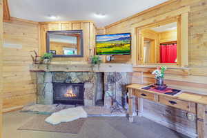 Living room with wood walls, carpet flooring, and a fireplace