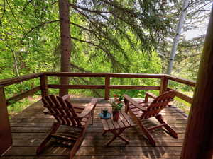 Wooden deck off dining area and bedroom, with serene, wooded view