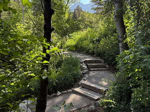 View of wooded walkway and Mt. Timpanogos in the distance