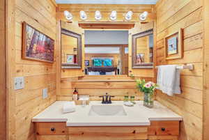 Bathroom with wood walls and vanity
