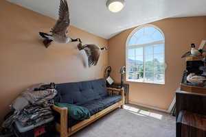 Living area featuring carpet, baseboards, and lofted ceiling