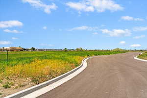 View of asphalt street featuring curbs