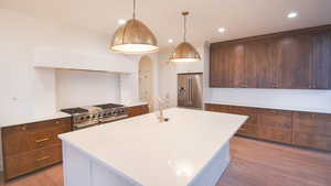 Kitchen with high end appliances, a sink, light wood-style flooring, light countertops, and recessed lighting