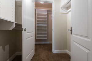 Spacious closet featuring carpet flooring