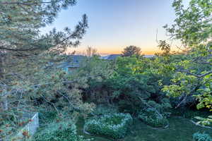 View of nature at dusk from the main floor deck.