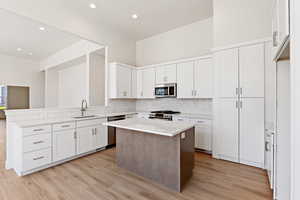 Kitchen with a sink, stainless steel appliances, backsplash, light wood-style flooring, and recessed lighting