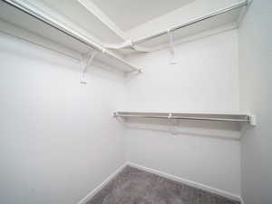 Walk in closet featuring carpet