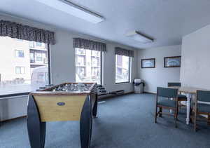 Playroom with a textured ceiling, healthy amount of natural light, and carpet flooring