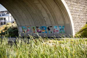 Bridge