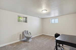 Home office with a textured ceiling, baseboards, and carpet flooring