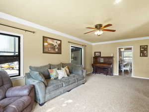 Living area with a ceiling fan, ornamental molding, and carpet