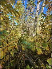 Lot 35 top right marker