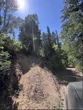 Looking toward the driveway (left) going up and looking down the road (right).