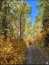 Road at bottom of the lots