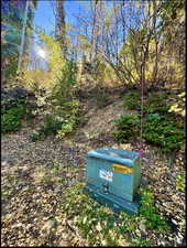 Lower right corner of lot 35, orange rebar stake