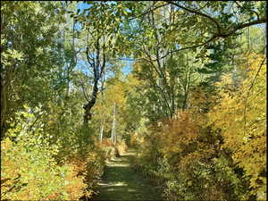 Looking down along road above lots