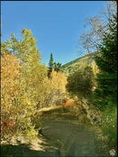 Road as you come down from the top road (from the top of the lots) turning onto the lower road at the base of the lots