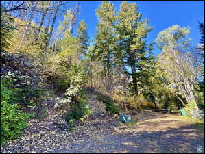 Lower right lot 35 marker orange rebar