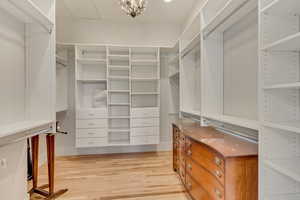 Walk in closet with light wood finished floors