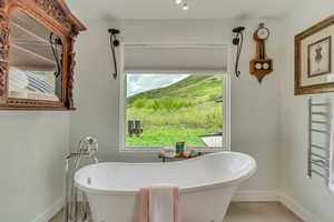 Bathroom featuring baseboards and a freestanding tub