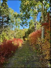 Looking down along top road above lots