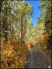 Road at the bottom of the lots