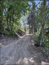 Looking down the driveway which crosses lot 32, 34, 35.