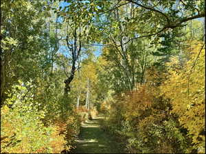 Looking down on road above lots