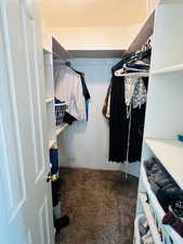 Spacious closet with carpet floors