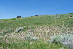 View of yard with a view of rural / pastoral area