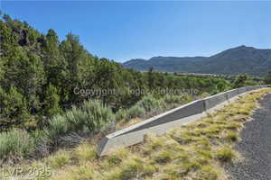 View of mountain backdrop with a forest