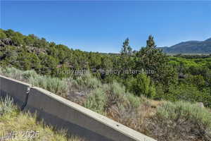 View of mountain background with a forest