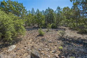 View of undeveloped land