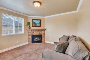 Living room with ornamental molding, carpet floors, and a stone fireplace