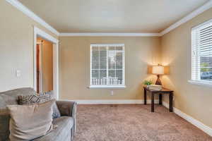 Living area with ornamental molding and carpet