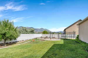 Fenced backyard with a trampoline and a mountain view