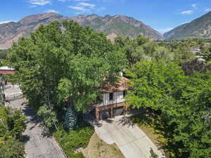 Mature Trees provide Privacy