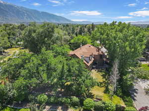 Mature Trees provide Privacy