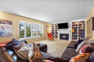 Main Level Living Room