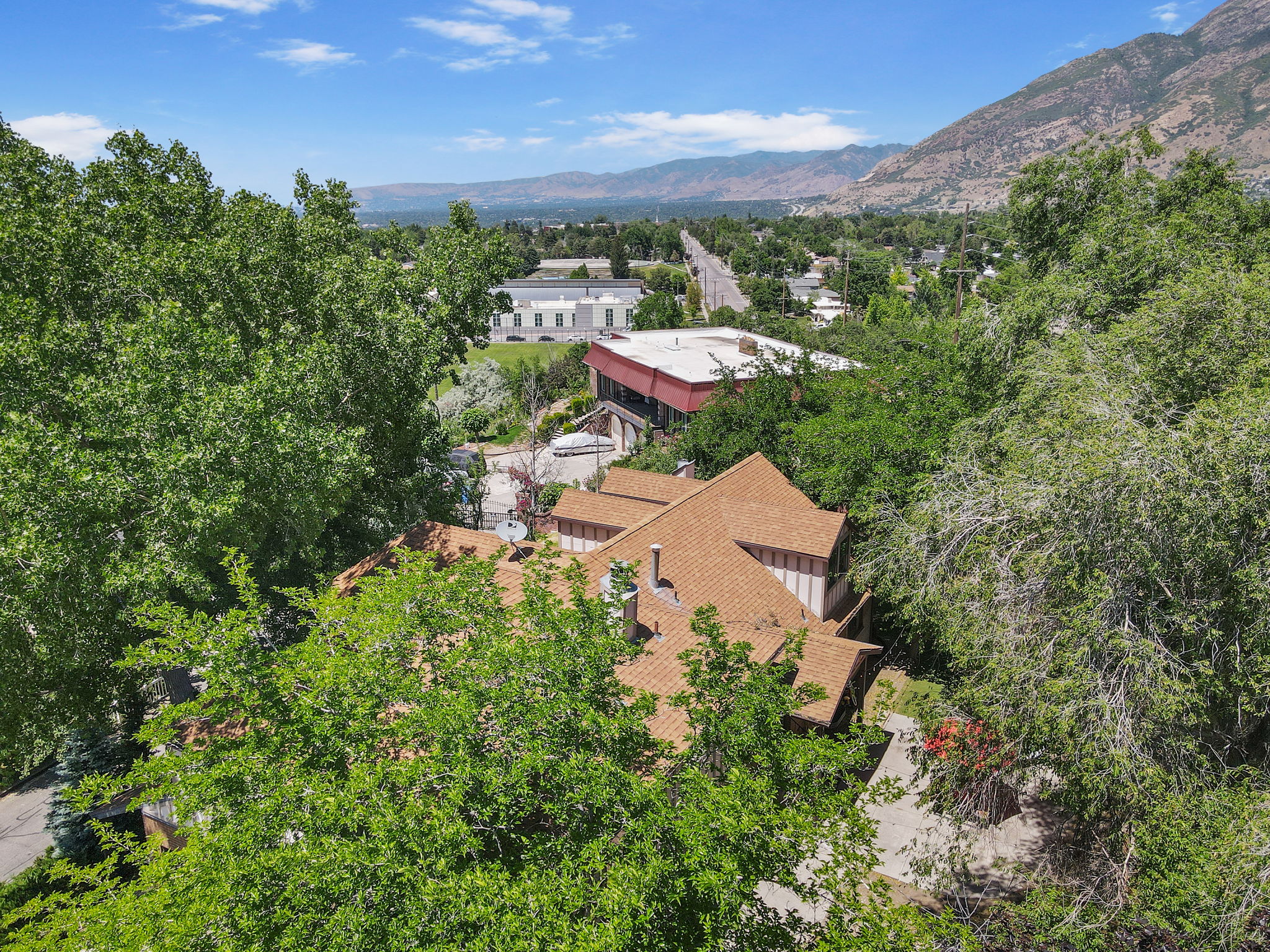 Mature Trees provide Privacy
